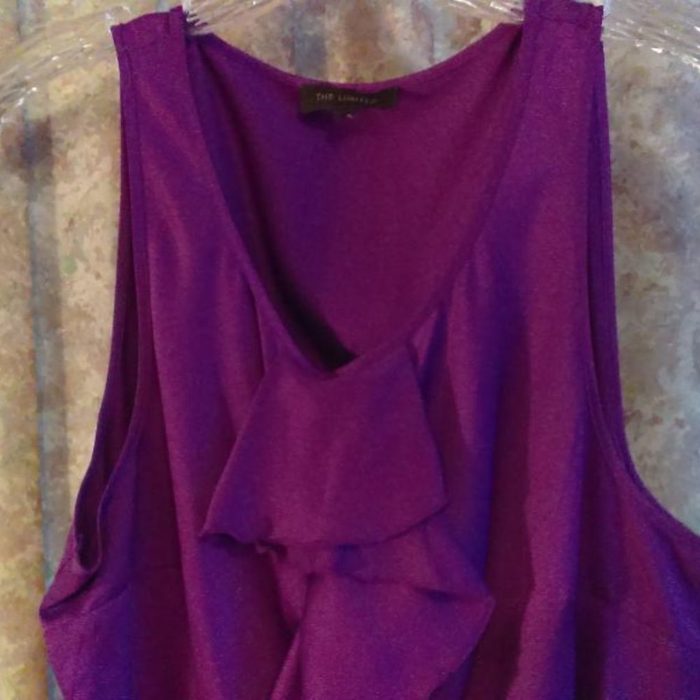 Purple ruffle front v-neck top The Limited - Picture 3 of 4